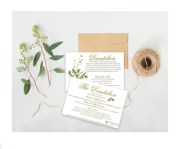 Dandelion Recipe Card-Herbal Remedies & Recipes by Observations Paper
