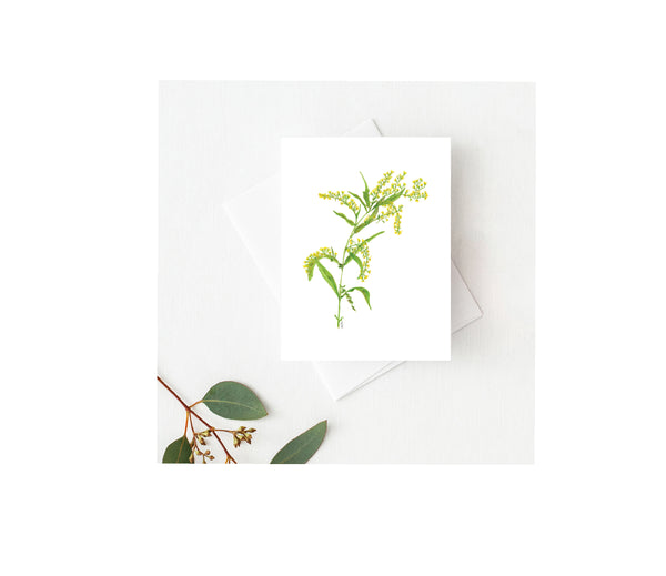 Goldenrod Greeting Card