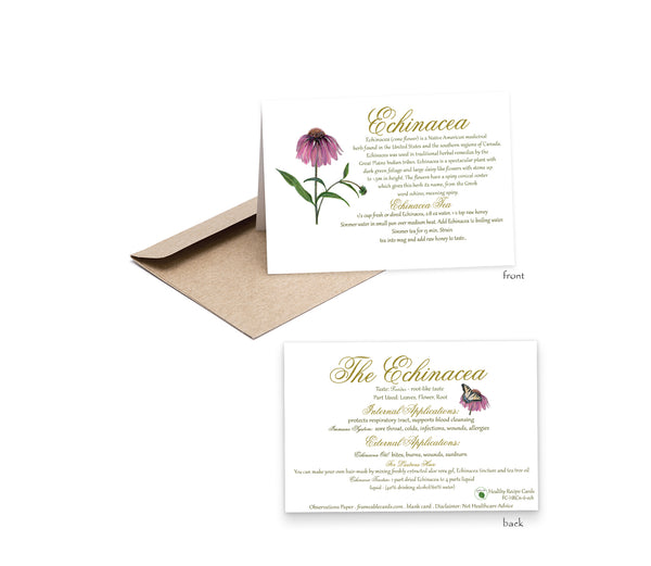 Herb Coneflower Recipe Card-Herbal Remedies & Recipes by Observations Paper