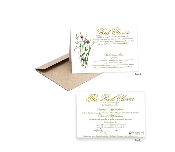 Herb Red Clover Recipe Card-Herbal Remedies & Recipes by Observations Paper