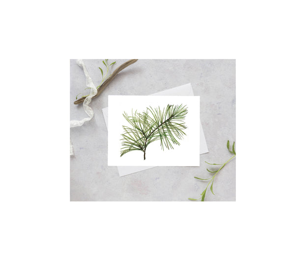 Long Needle Pine Greeting Card