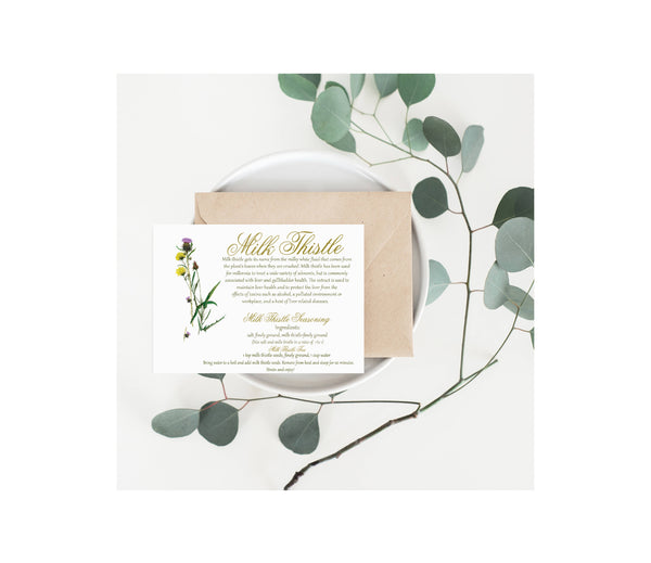 Herb Milk Thistle Recipe Card-Herbal Remedies & Recipes by Observations Paper