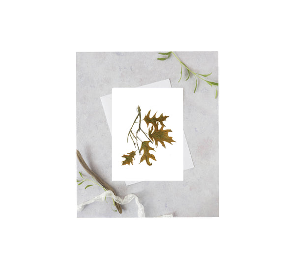 Oak Leaves Greeting Card