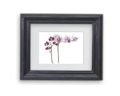 Orchid Greeting Card