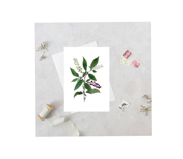 Pokeweed Greeting Card