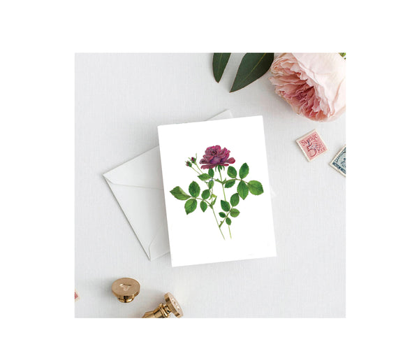 Red Rose Greeting Card