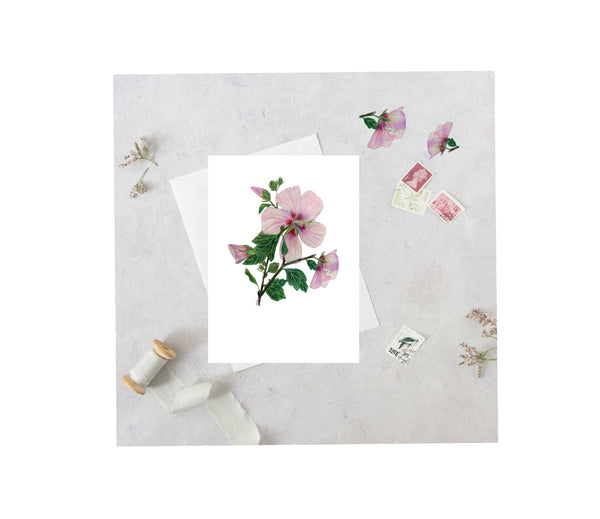 Rose of Sharon Greeting Card
