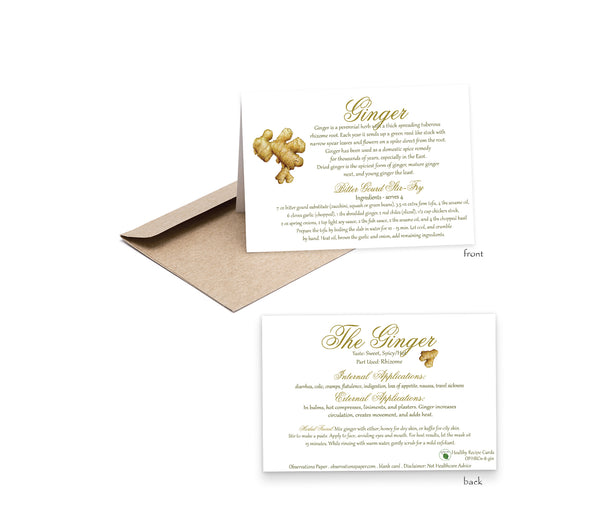 Spice Ginger Recipe Card-Herbal Remedies & Recipes by Observations Paper