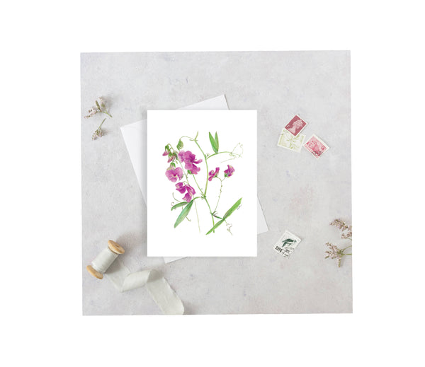 Sweet Pea Greeting Card