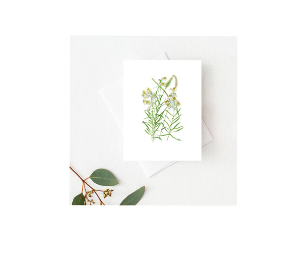 White Bell Flower Greeting Card