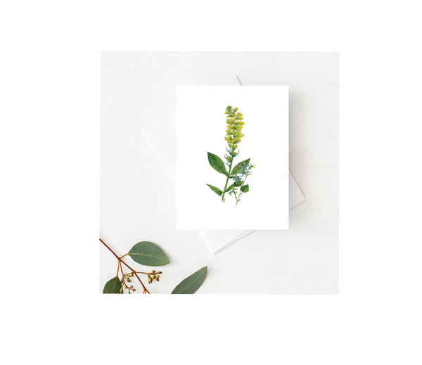 Yellow Lupine Greeting Card