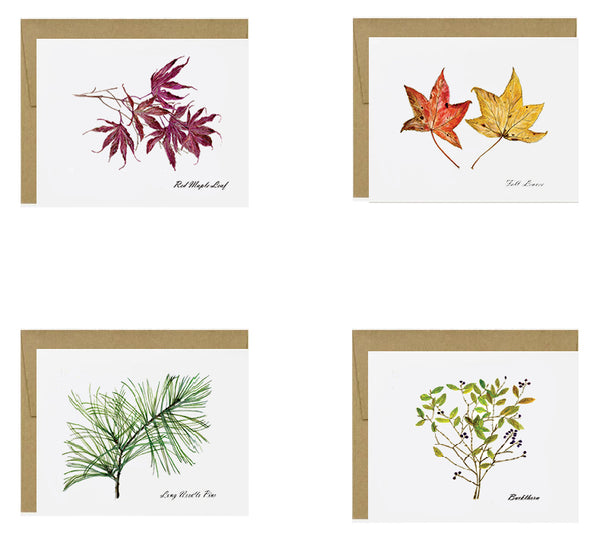 NOTE CARDS