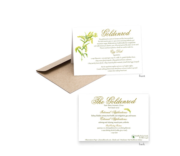 Herb Goldenrod Recipe card-Herbal Remedies & Recipes by Observations Paper