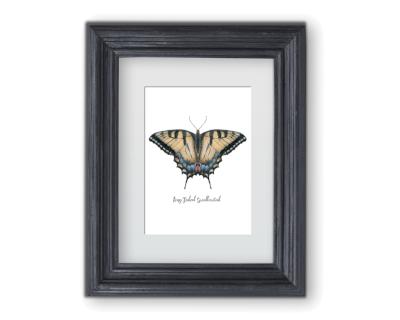 Swallowtail Butterfly Greeting Card