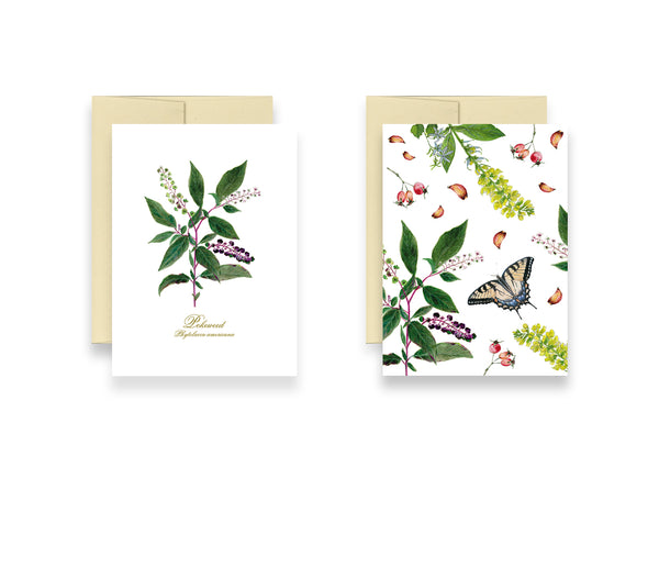 Set of Two Cards-Frameable & Greeting Card by Observations Paper