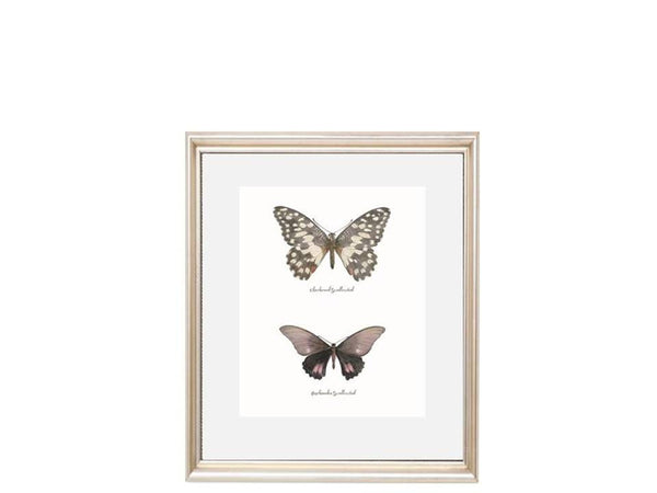 Butterfly Illustration Print