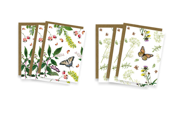 Herb and Butterfly Note Cards set of six cards by Observations Paper