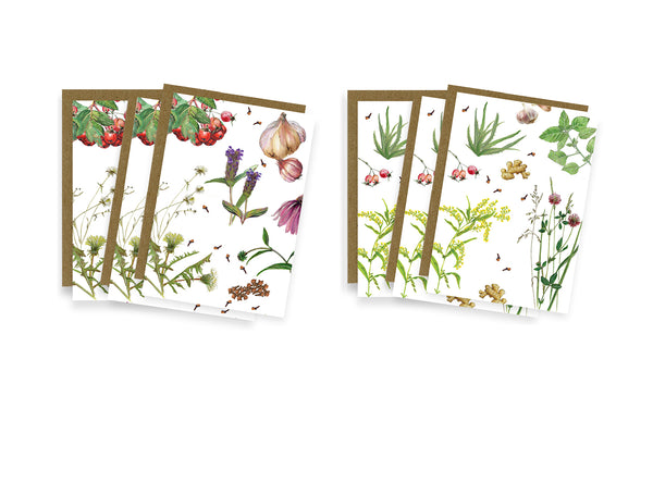 Herb & Spice Note Card Set of six by Observations Paper