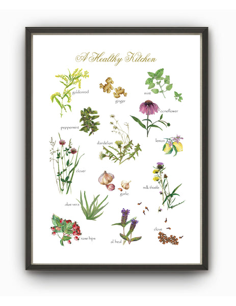Herb & Spice Print-Watercolor and Pencil by Observations Paper