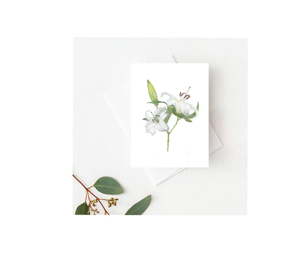 Lily Greeting Card by Observations Paper