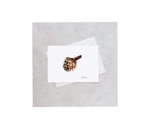Pinecone Note Card