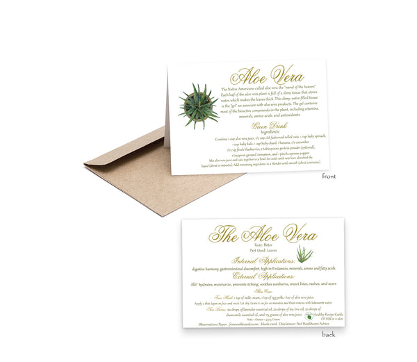 Plant Aloe Vera Recipe Card-Herbal Remedies & Recipes by Observations Paper