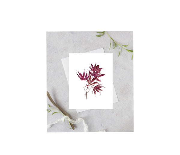 Red Maple Leaf Greeting Card
