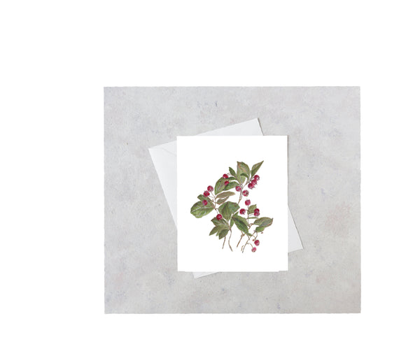 Christmas Berry Holiday Greeting Card