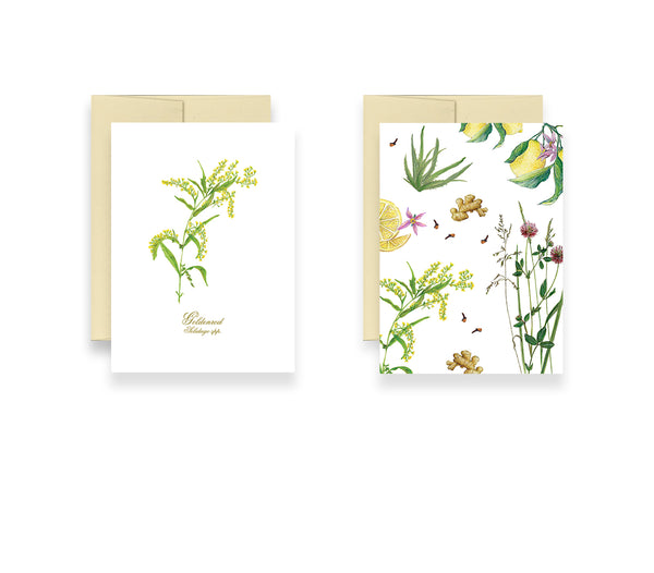 Set of Two Cards-Frameable & Greeting Card by Observations Paper