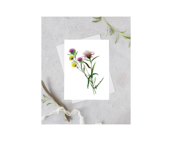 Thistle Greeting Card