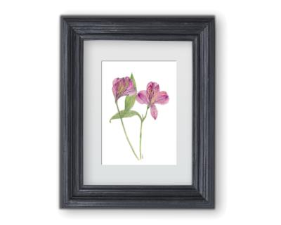 Garden Collection-Frameable Cards-Floral-Alstroemeria 