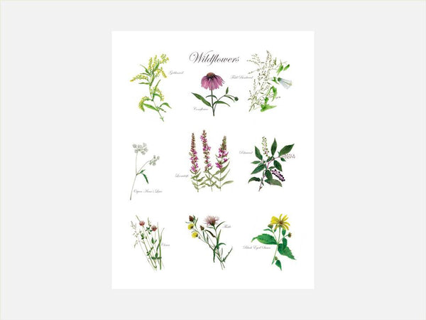 Observations: Wildflower Print